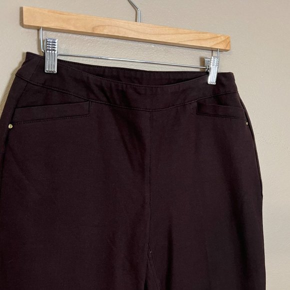 Brown So Slimming Chico's Size 0 Short - Picture 7 of 8